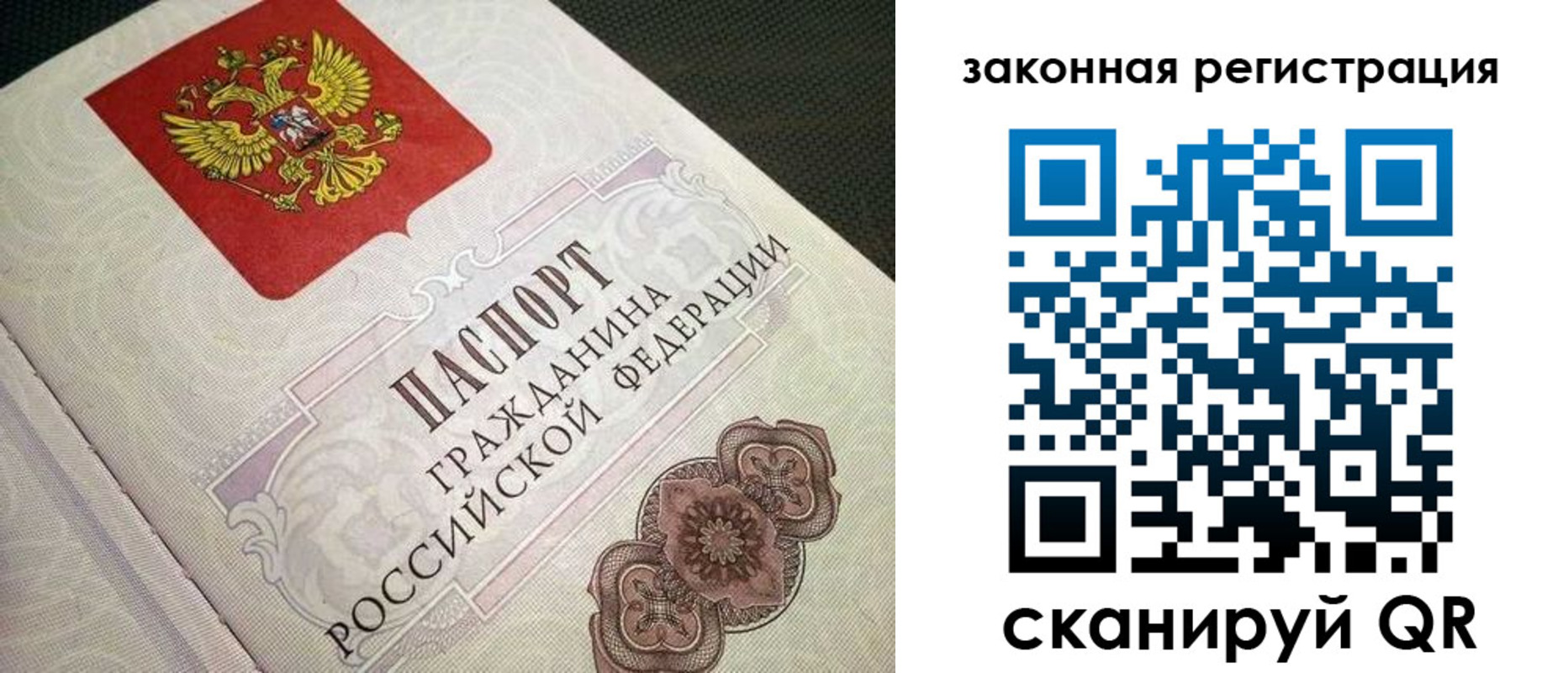 прописка в Ленинградской области